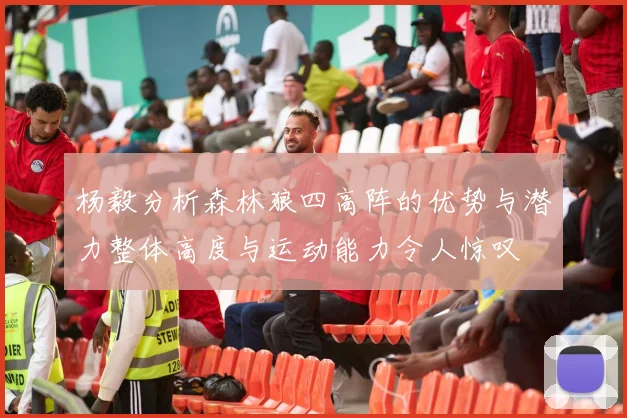 杨毅分析森林狼四高阵的优势与潜力整体高度与运动能力令人惊叹